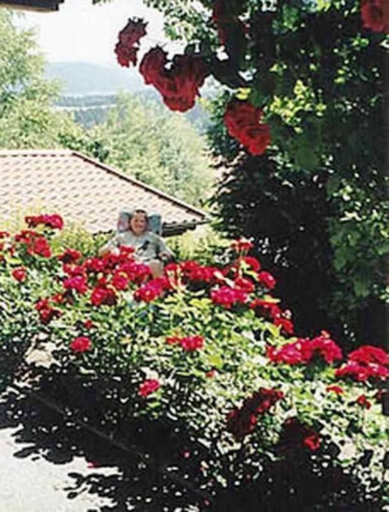 Haus Bergblick Bay. Wald Lejlighed Prackenbach Eksteriør billede