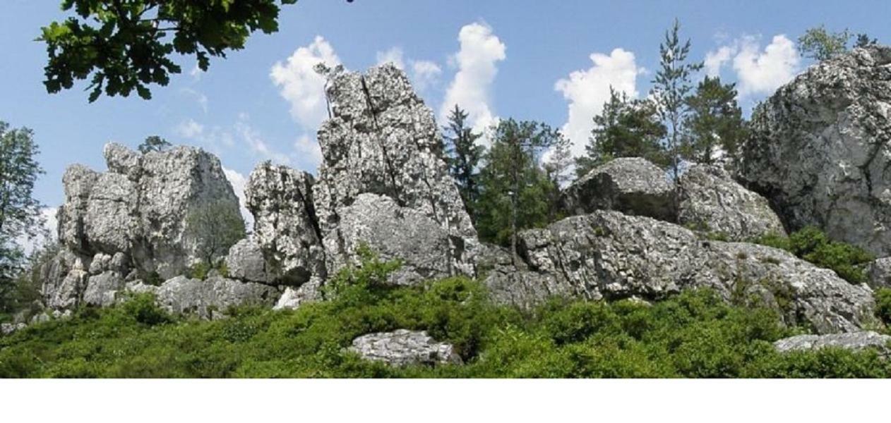 Haus Bergblick Bay. Wald Lejlighed Prackenbach Eksteriør billede